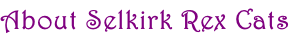 About Selkirk Rex Cats