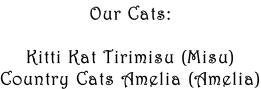 Our Cats:  Kitti Kat Tirimisu (Misu) Country Cats Amelia (Amelia)